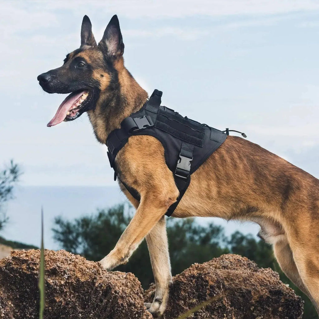 Tactical Adjustable Dog Harness - PeakPaws Co.