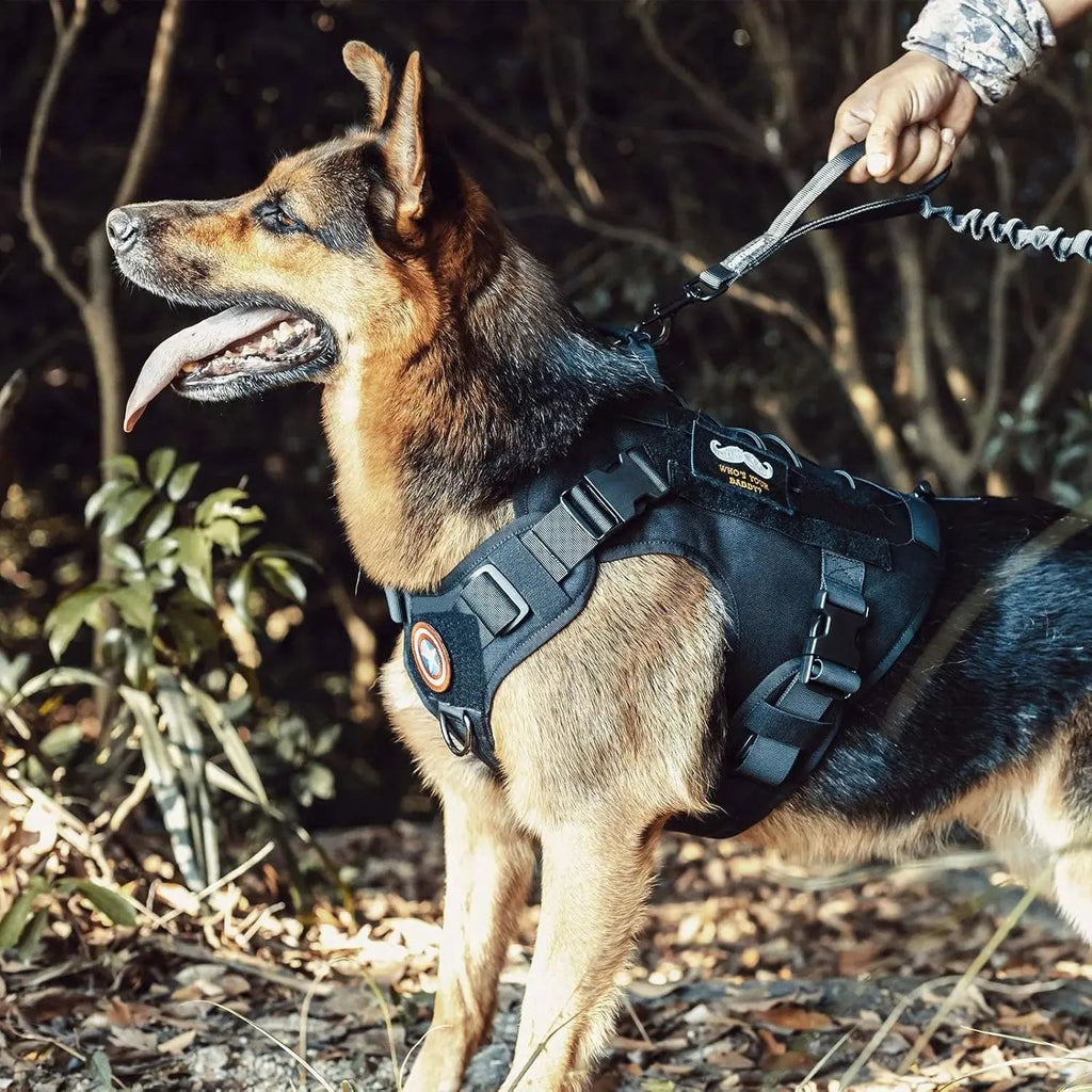 Tactical Adjustable Dog Harness - PeakPaws Co.