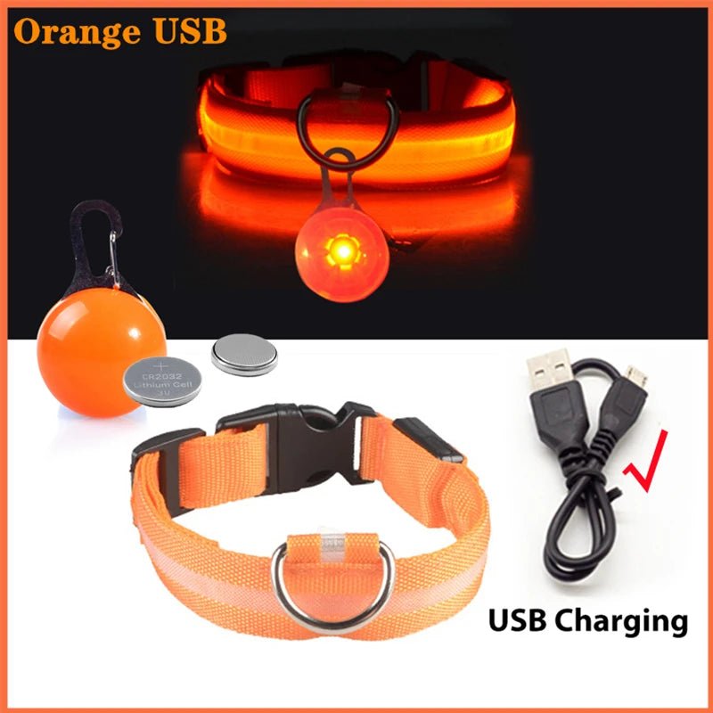 USB Rechargeable LED Waterproof Dog Collar with Detachable Light - PeakPaws Co. orange