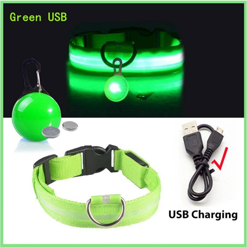 USB Rechargeable LED Waterproof Dog Collar with Detachable Light - PeakPaws Co. green
