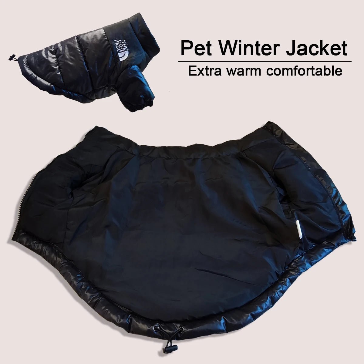 Windproof 'The Dog Face' Winter Jacket with Reflective Trim – Zip-Up Warm Coat for Small & Medium Dogs (Up to 55 lbs)