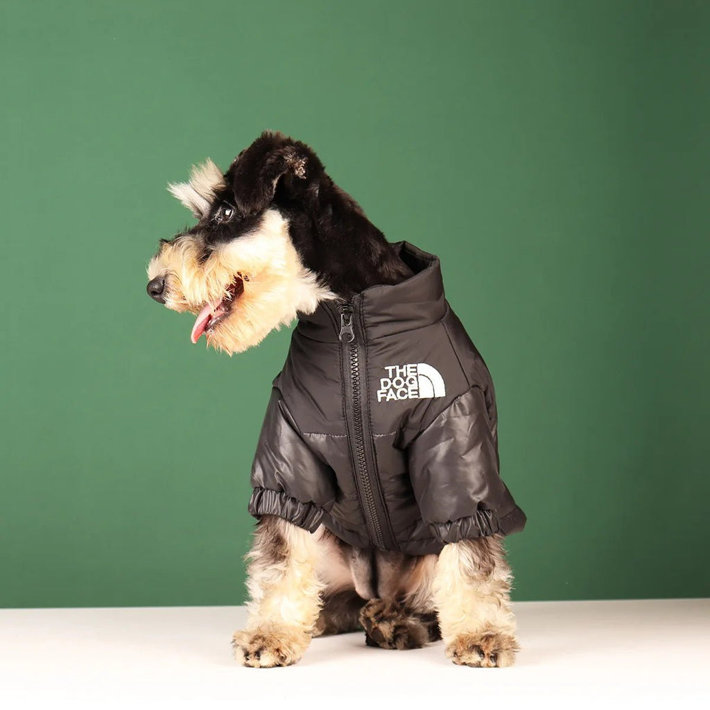 Windproof 'The Dog Face' Winter Jacket with Reflective Trim – Zip-Up Warm Coat for Small & Medium Dogs (Up to 55 lbs)