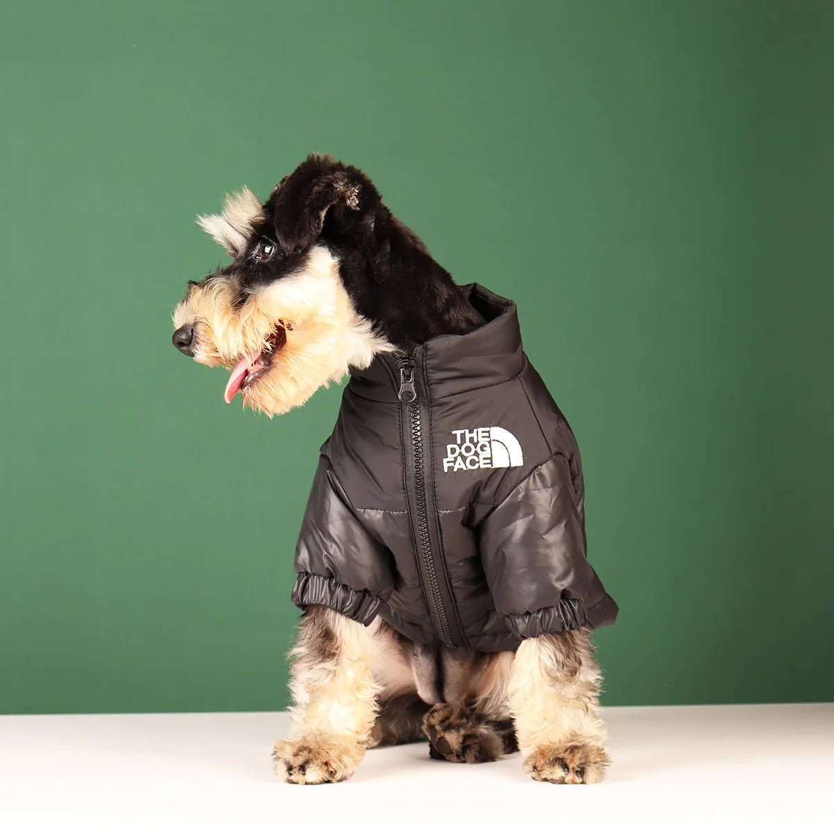 Windproof 'The Dog Face' Winter Jacket with Reflective Trim – Zip-Up Warm Coat for Small & Medium Dogs (Up to 55 lbs)