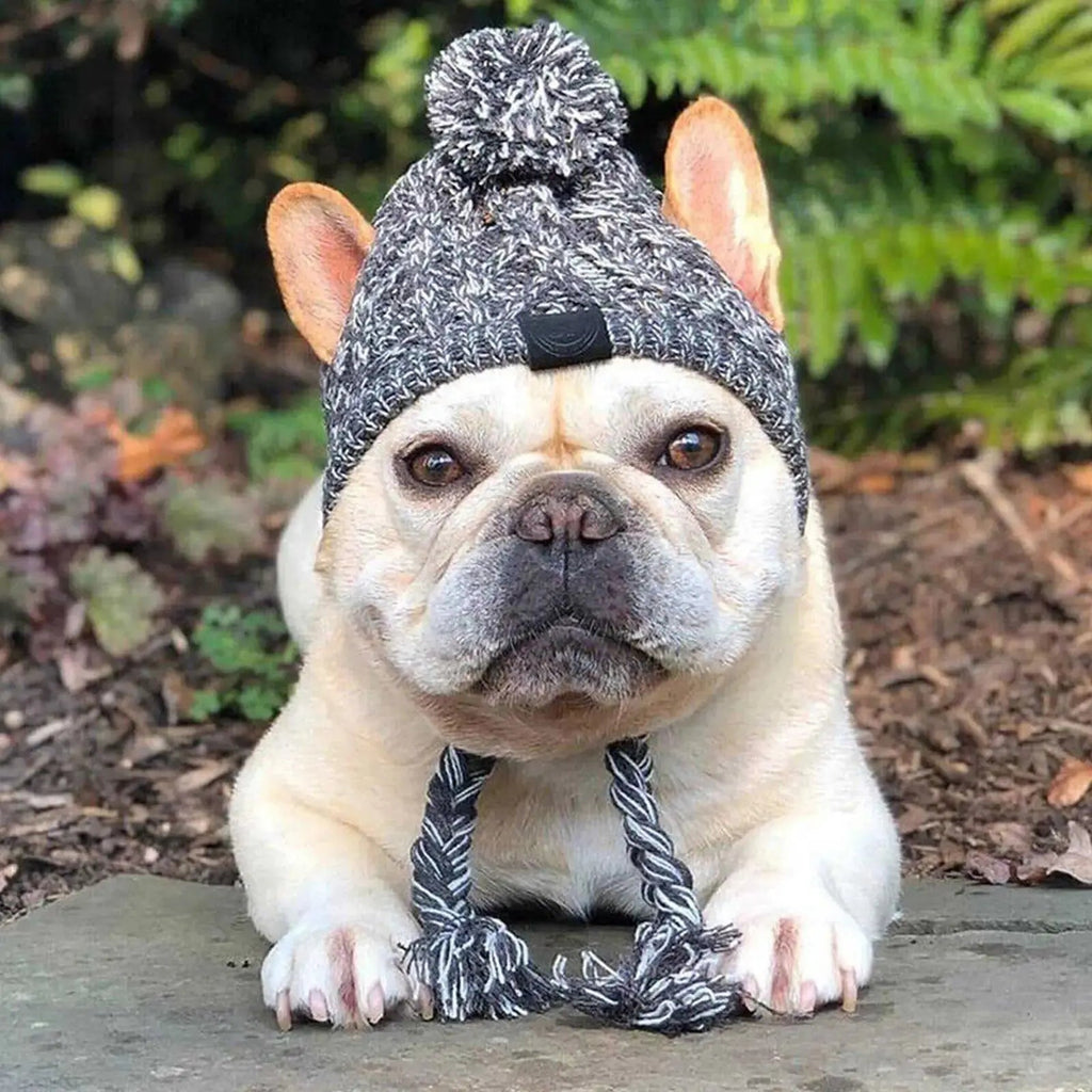 Winter Dog Knit Hat with Ear Holes & Pom Pom - PeakPaws Co.
