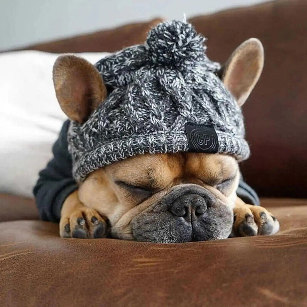 Winter Dog Knit Hat with Ear Holes & Pom Pom - PeakPaws Co.